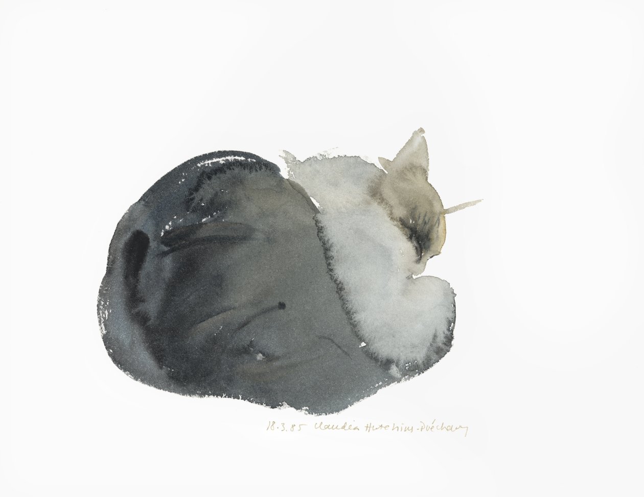 Gato dormindo, 1985 (aquarela) de Claudia Hutchins Puechavy