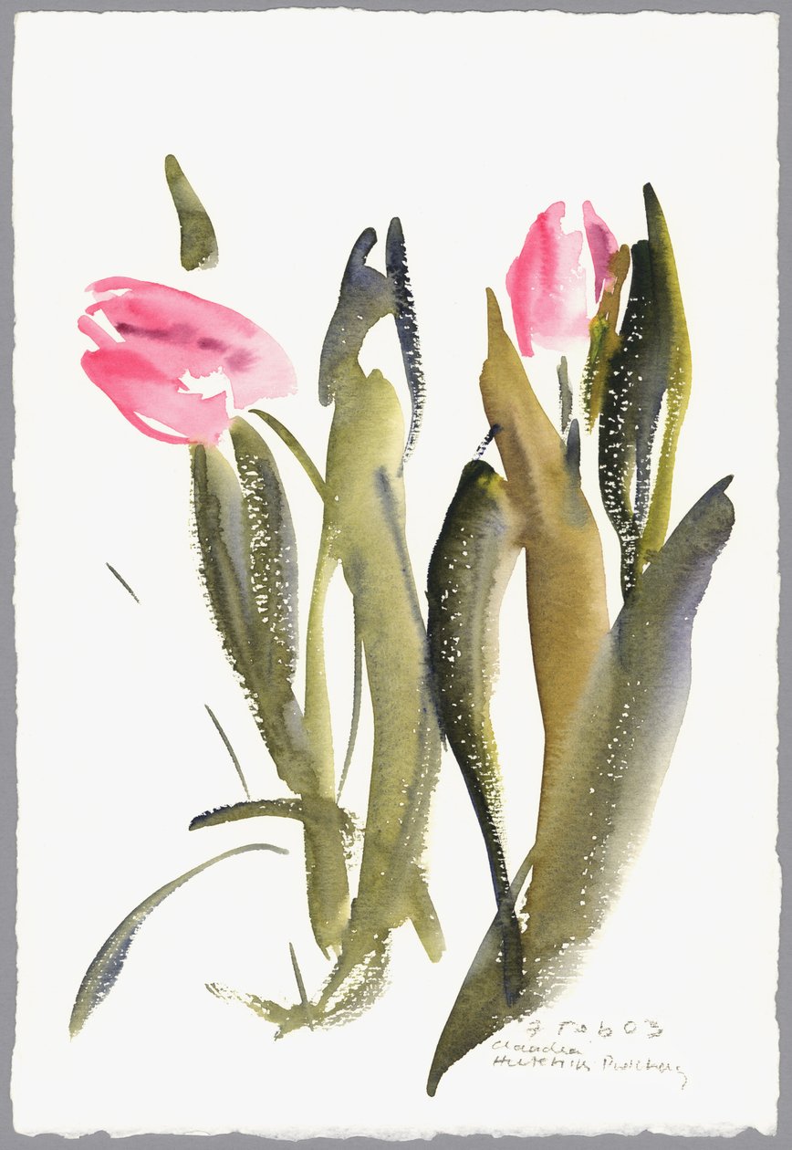 Tulipas, 2003 (aguarela) de Claudia Hutchins Puechavy