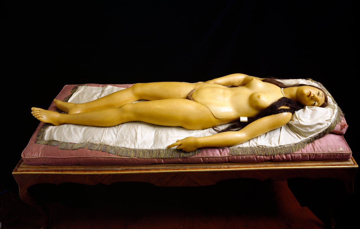 &39;The Dismantable Venus&39;, modelo anatômico (cera) de Clemente Susini