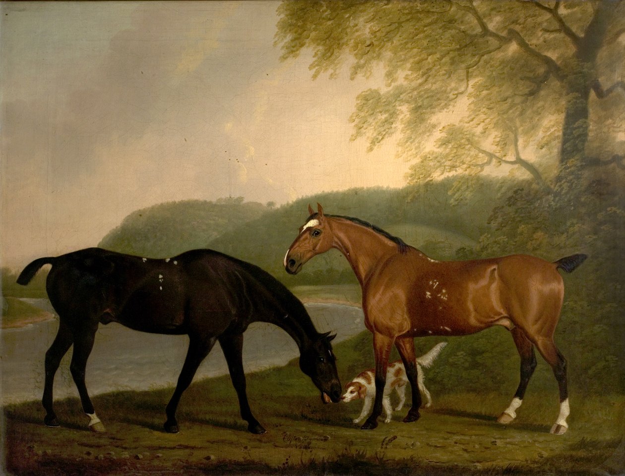 Cavalos e cão em uma paisagem, c.1830 de Clifton Tomson