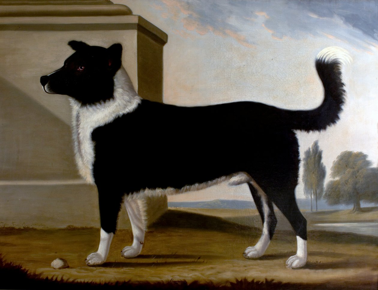 Lord Byrons Dog Boatswain (Terra Nova), 1808 de Clifton Tomson