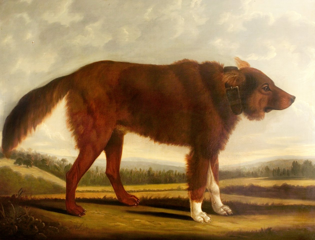 Lord Byrons Dog Lyon (O Cão Lobo), 1808 de Clifton Tomson