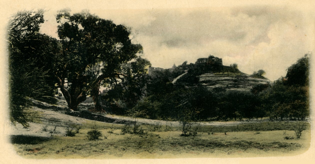 Floresta. de Clifton and Co