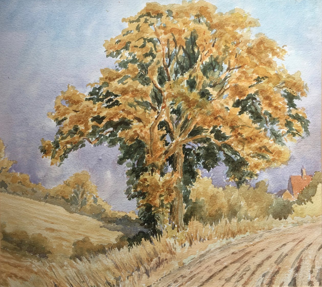 Pôr do sol da colheita, North Denford de Clive Wilson