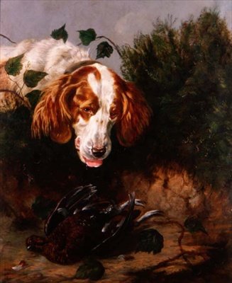 Just Shot - Spaniel com um Grouse morto de Colin Graeme