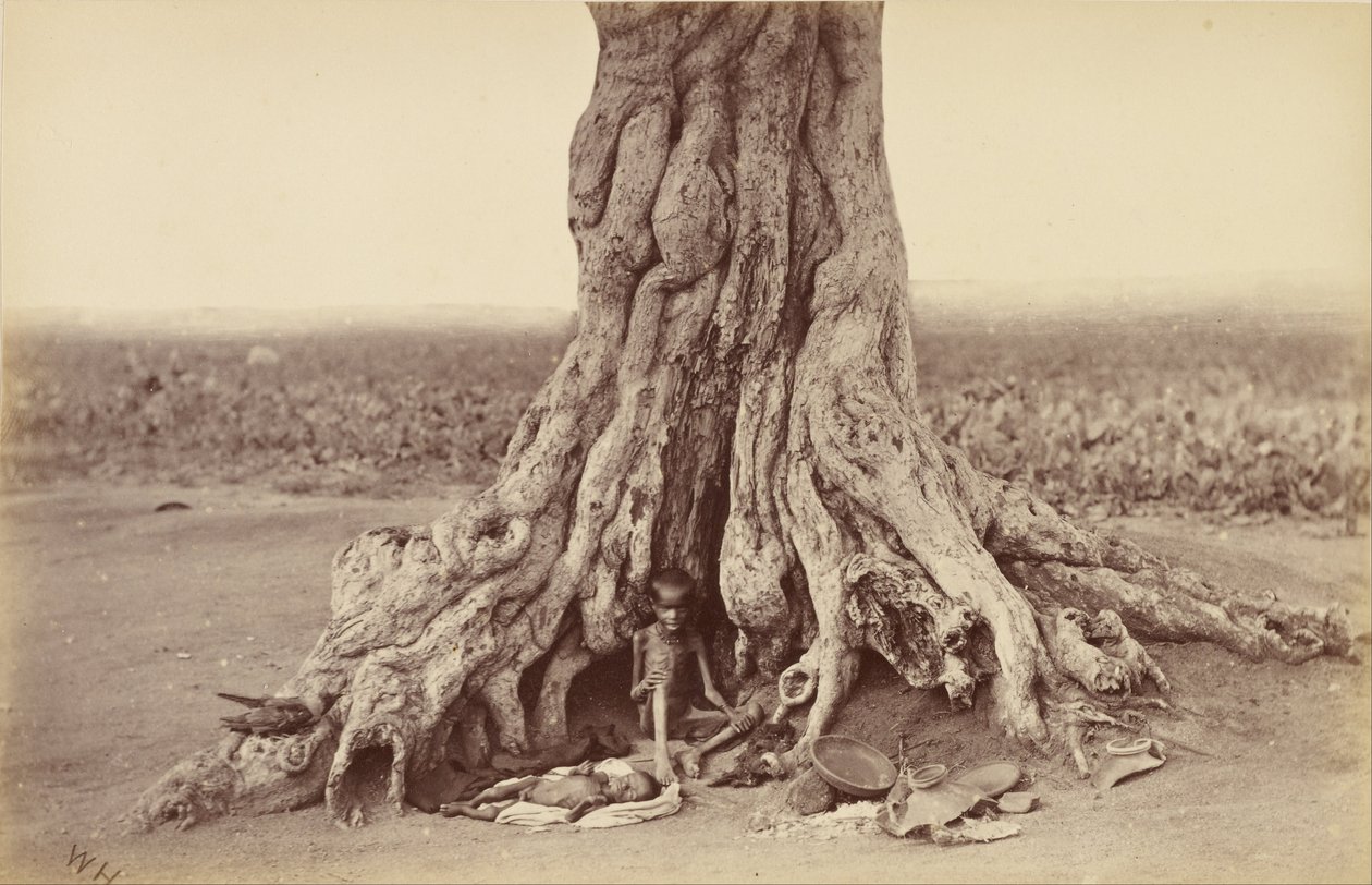 Desamparado de Willoughby Wallace Hooper