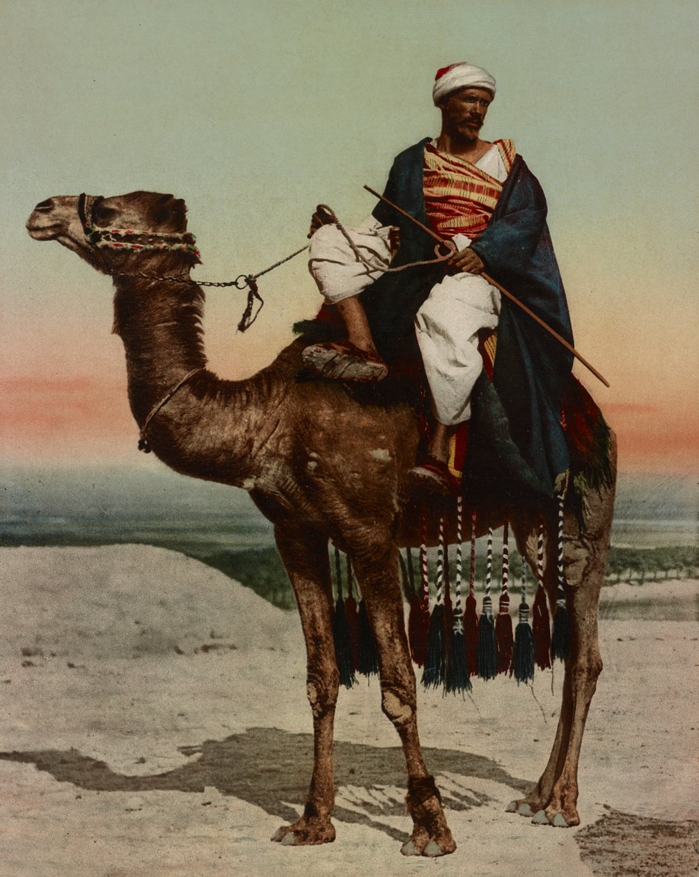 Um beduíno, Cairo, Egipto de Company Photoglob