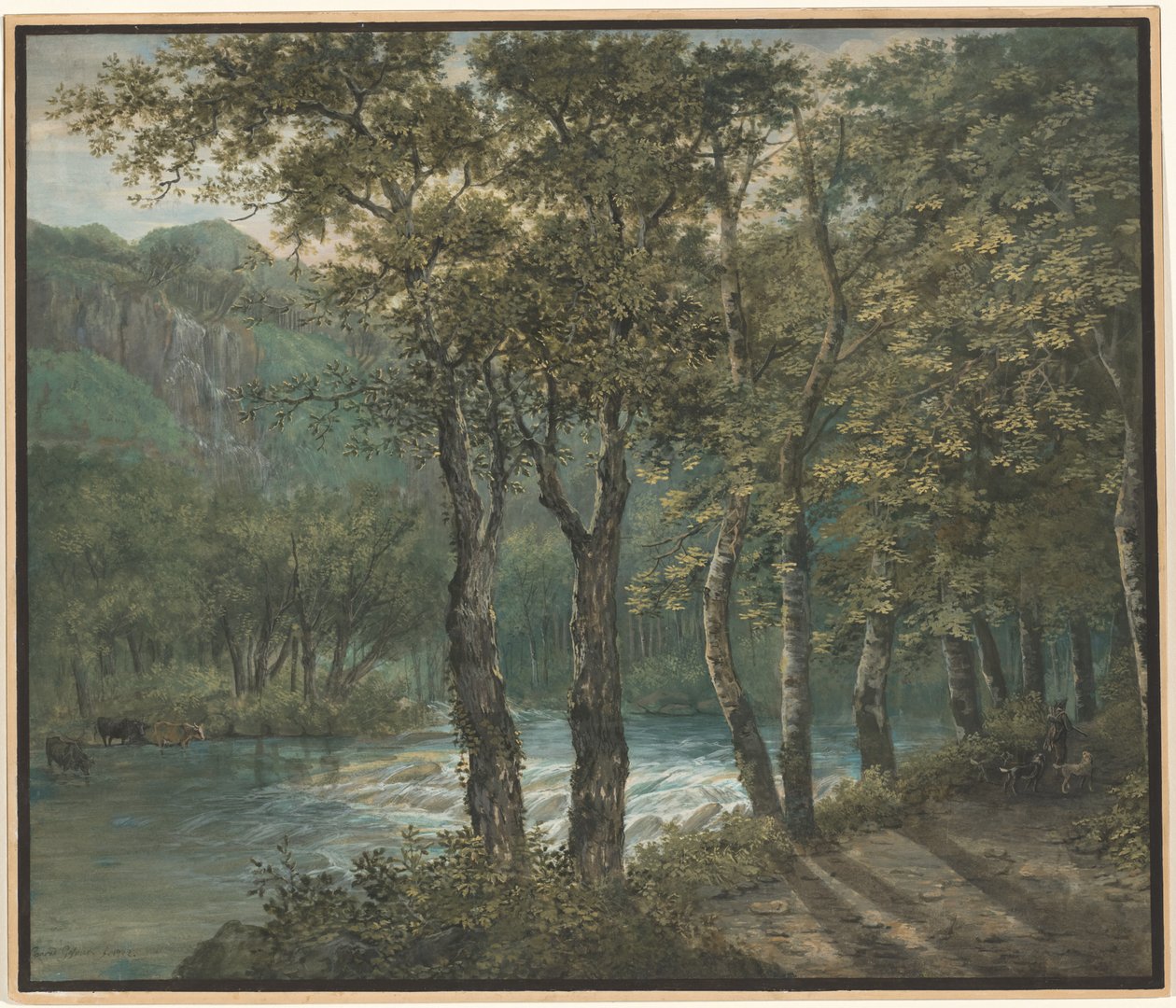 Filtro de luz solar através das árvores ao longo do rio Sihl de Conrad Gessner