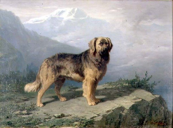 Um Mastim em uma Paisagem Alpina de Conradyn Cunaeus