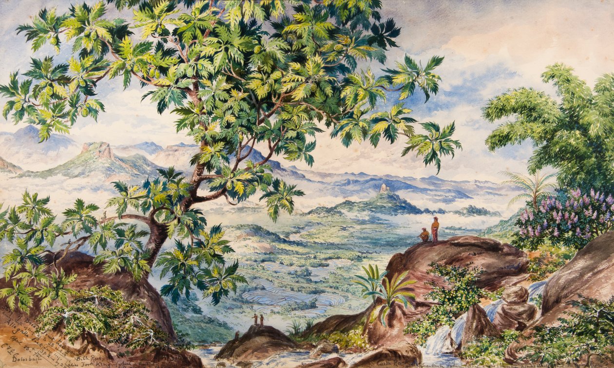 Estudo da árvore de fruto do pão, Allegalla Peak de Constance Frederica Gordon Cumming