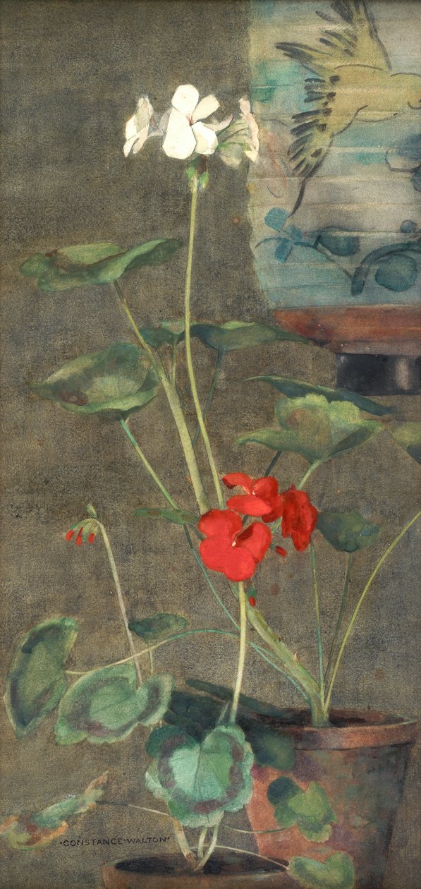 Gerânios e Lanterna japonesa (aguarela sobre papel) de Constance Walton