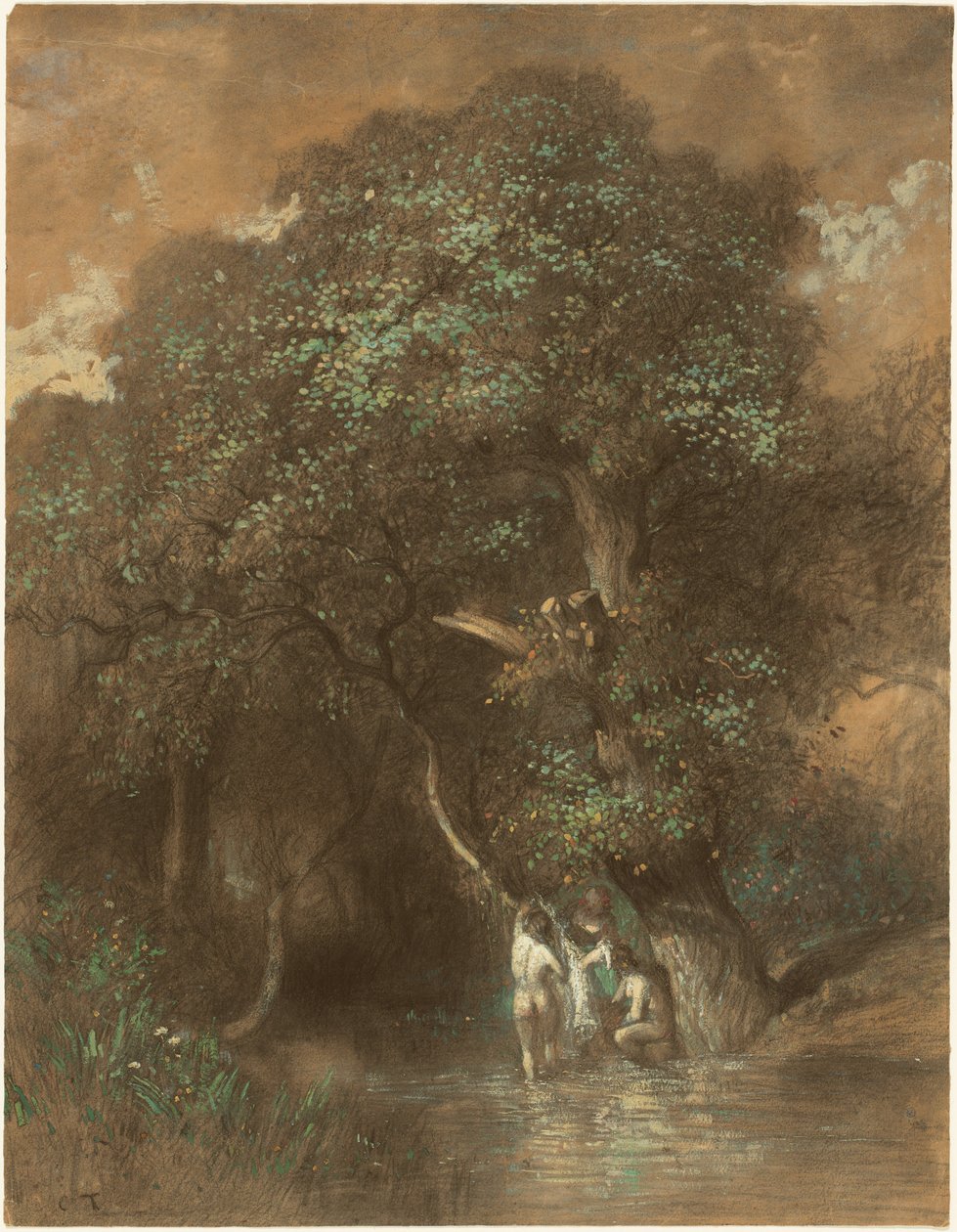 Banhistas junto a um carvalho gigante, c.1842-1844 (carvão sobre papel) de Constant-Emile Troyon