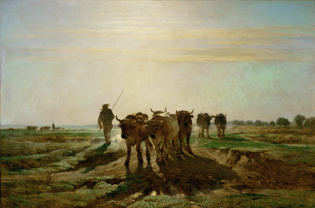 Boeufs se rendant au travail - gado a caminhar para o trabalho, de manhã. 1855 ... de Constant Emile Troyon