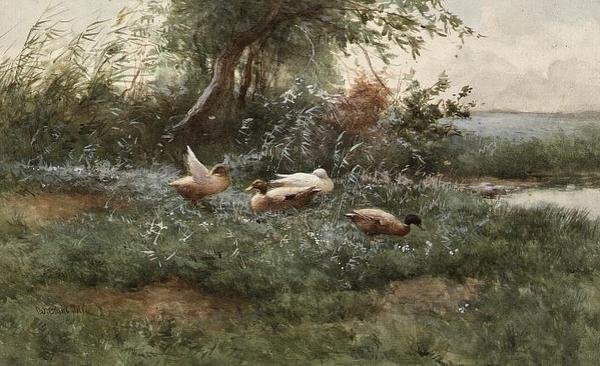 Patos junto a uma lagoa (óleo sobre tela) de Constant Artz