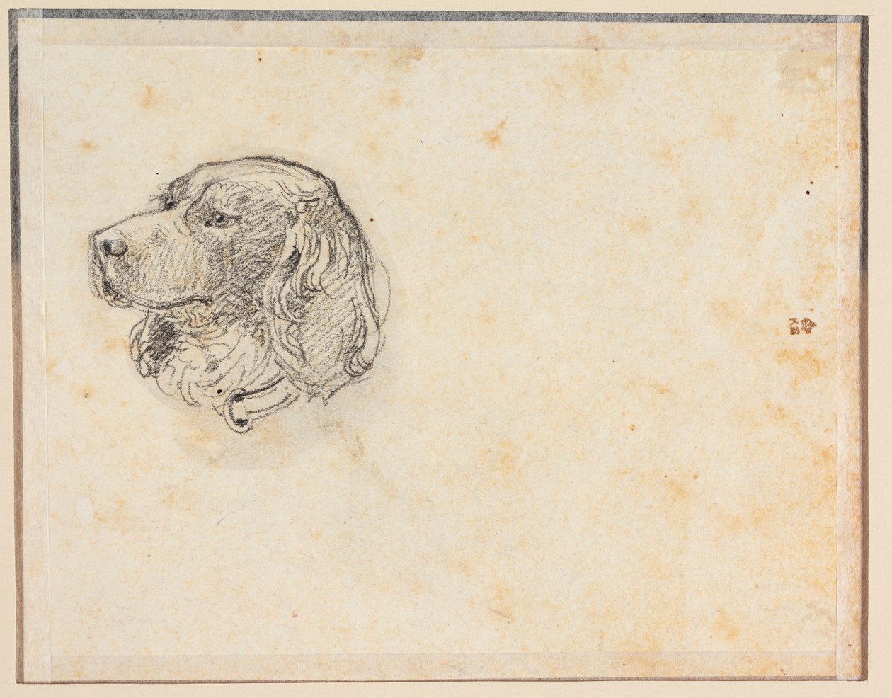 Cabeça de cão de Constantin Hansen