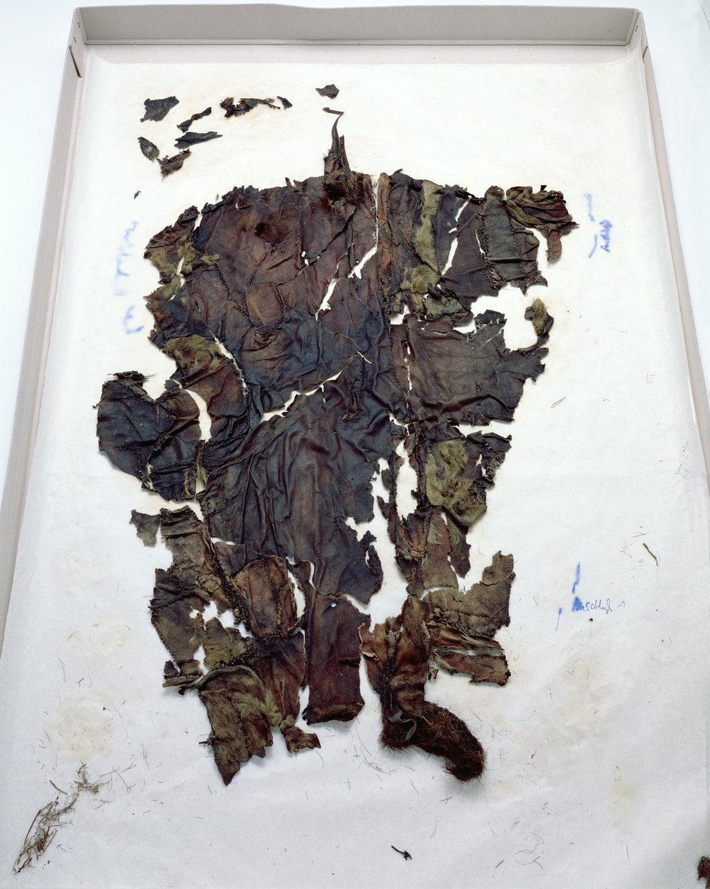 Perneiras encontradas com o Oetzi Iceman (pele de cabra) de Copper Age