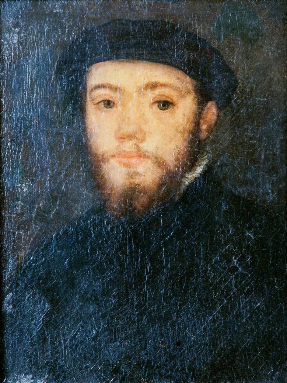 Retrato de um homem de Corneille de Lyon