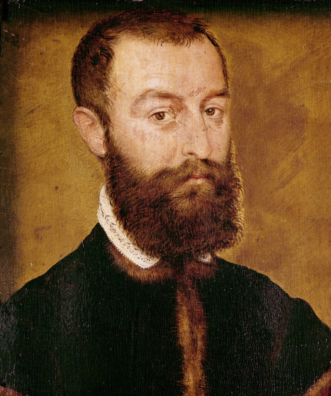 Retrato, de, um, homem, com, um, barba, ou, retrato, de, um, homem, com, cabelo marrom de Corneille de Lyon