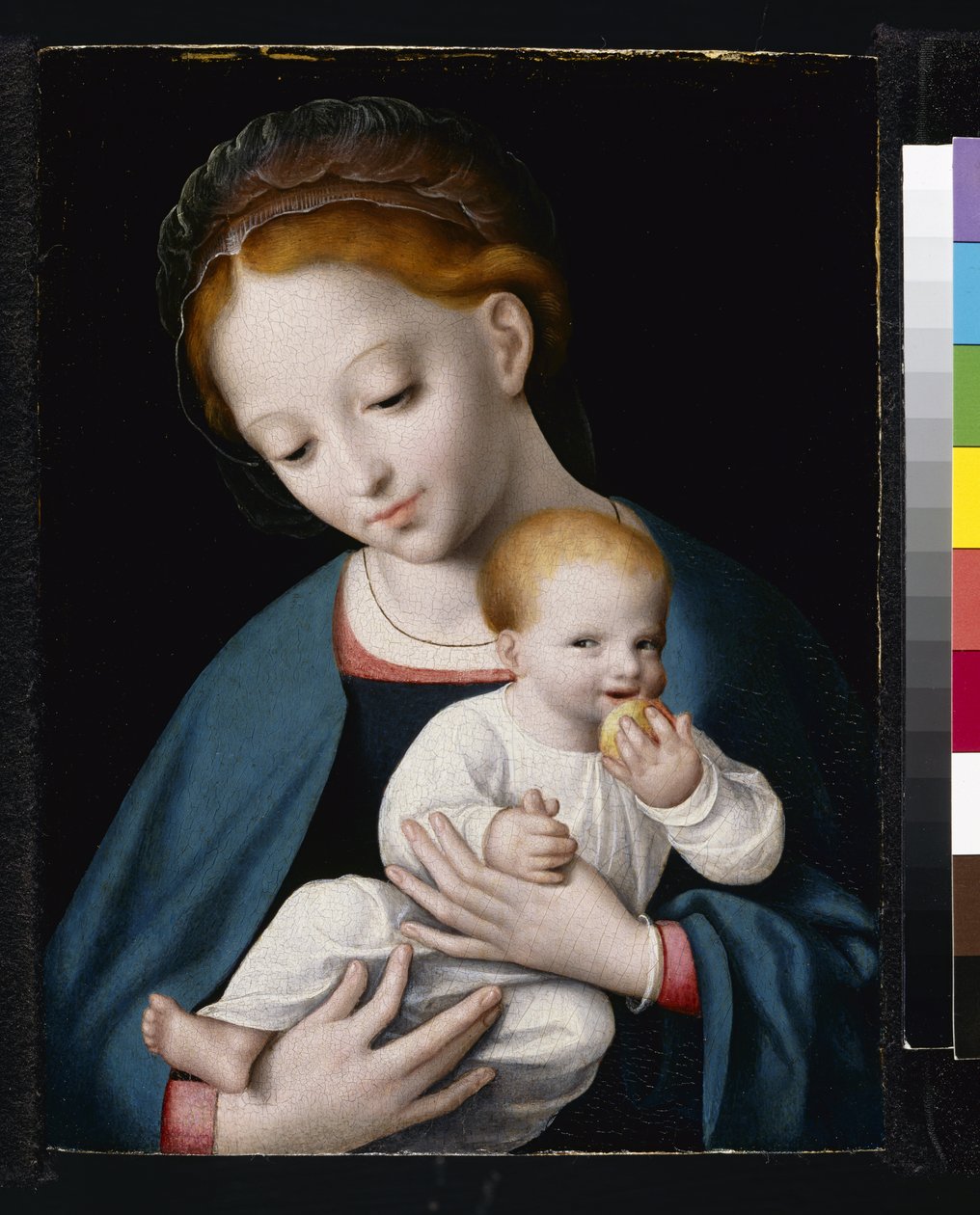Virgem e o Menino de Cornelis van Cleve