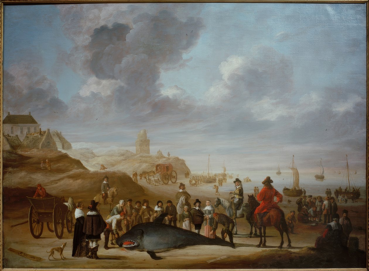 Baleia na praia de Scheveningen de Cornelis Beelt