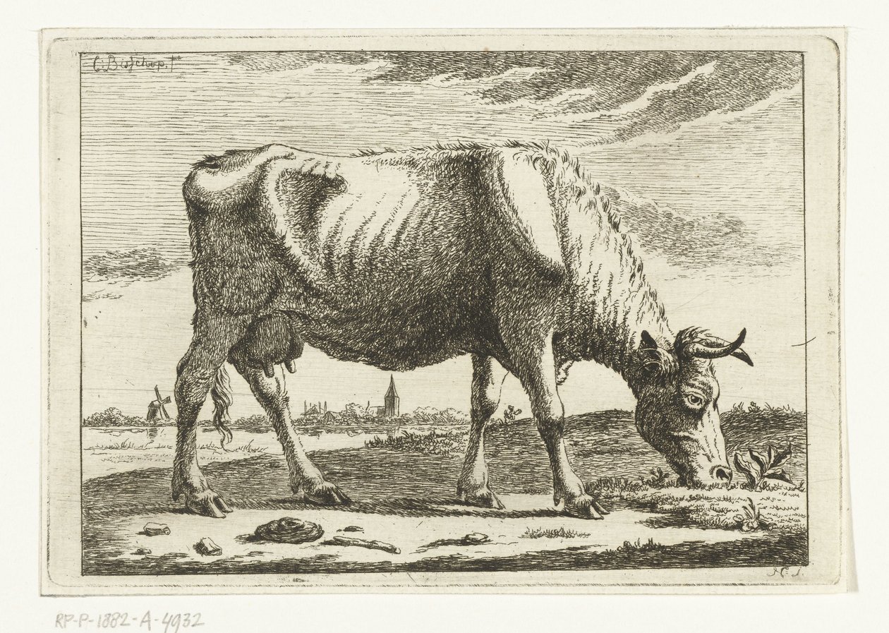 Paisagem com vaca pastando Vacas (título da série) de Cornelis  Bisschop