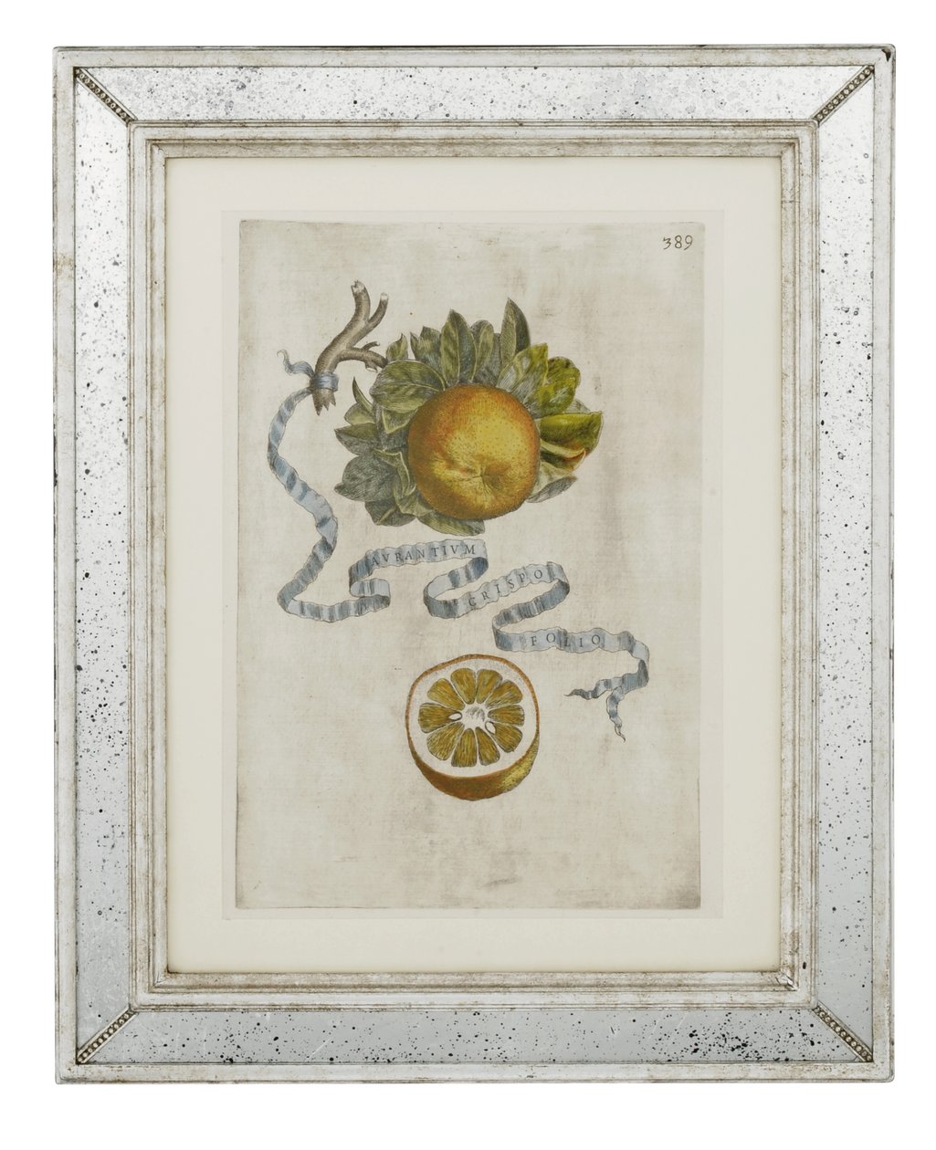 Prato de folha ondulada laranja 389 de Hesperus, ou o uso de livros sobre termodinâmica Aureorum Culture and Quartet &39;de Giovanni Battista Ferrari de Cornelis Bloemaert