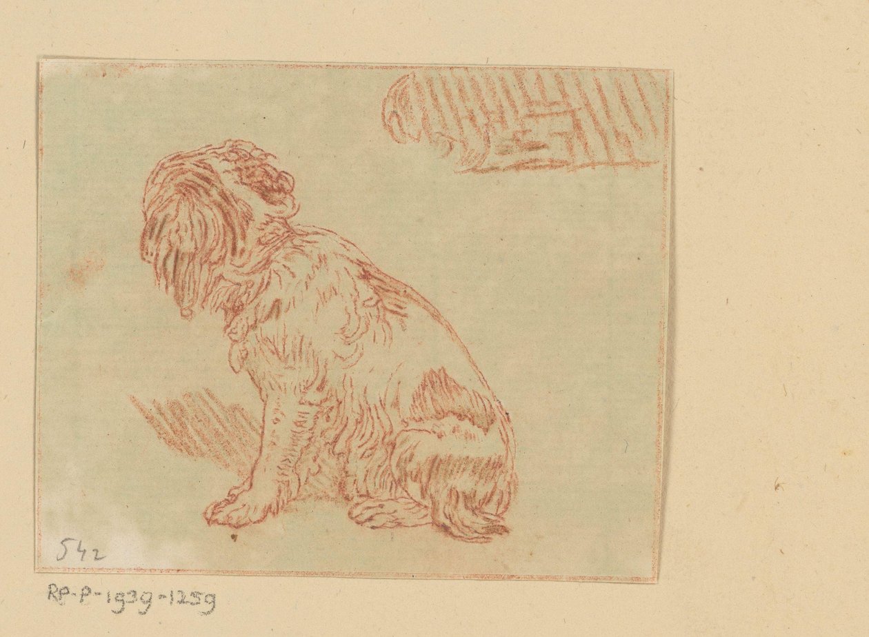 Cão sentado de Cornelis Brouwer (possibly)