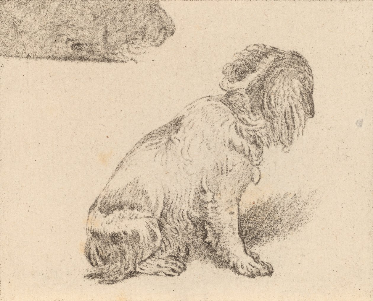 Floresta. de Cornelis Brouwer