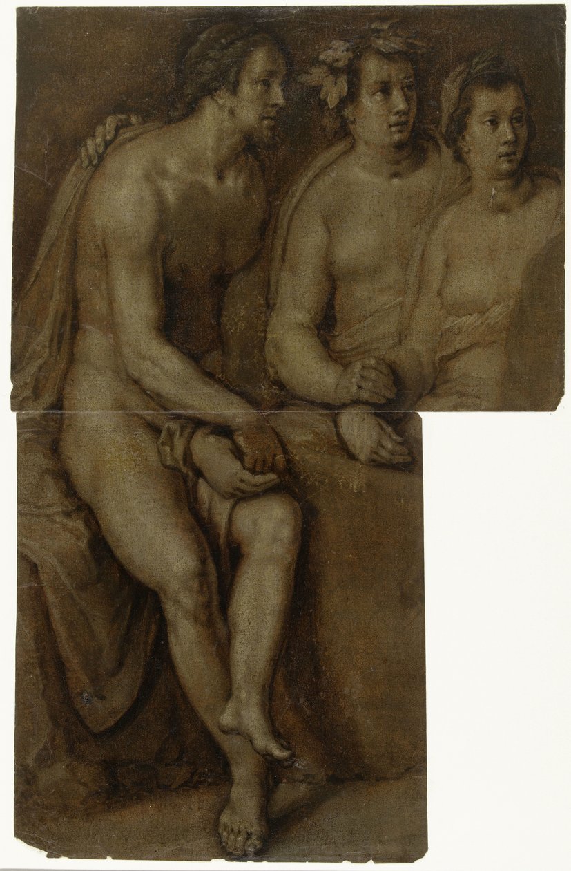 Estudos de meio comprimento de um homem nu sentado e duas mulheres de Cornelis Cornelisz. van Haarlem