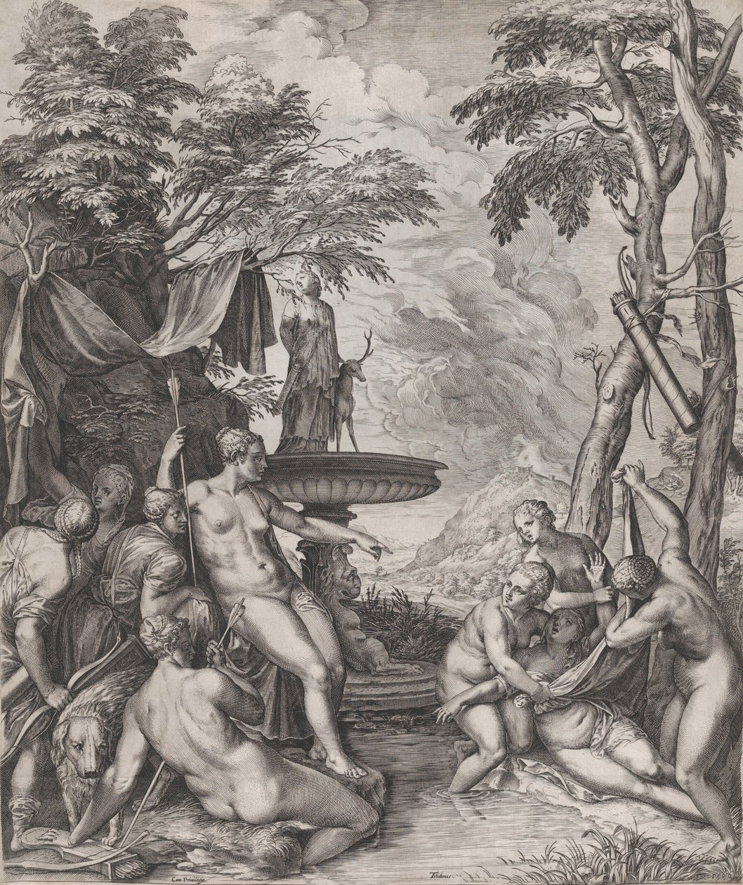 Floresta. de Cornelis Cort