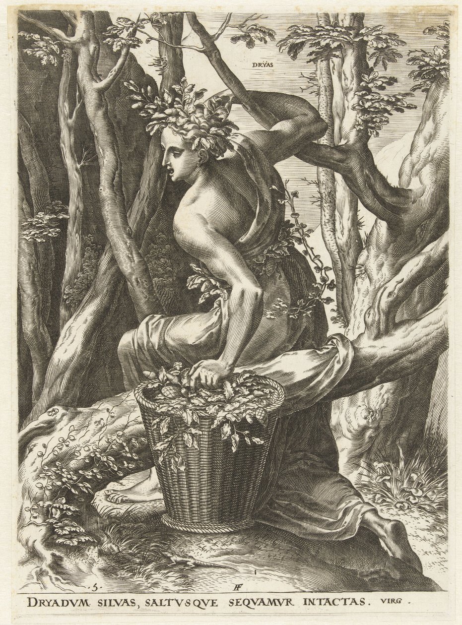 Dryas (título sobre o objecto)
Deusas e ninfas (título da série) de Cornelis Cort