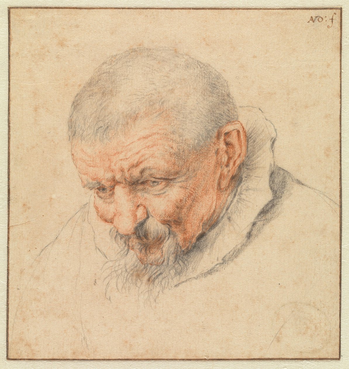 A cabeça de um homem idoso de Cornelis Dusart