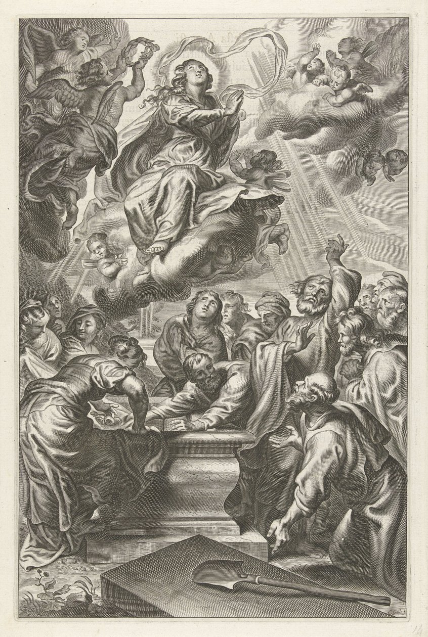 Assunção de Maria de Cornelis Galle (II)