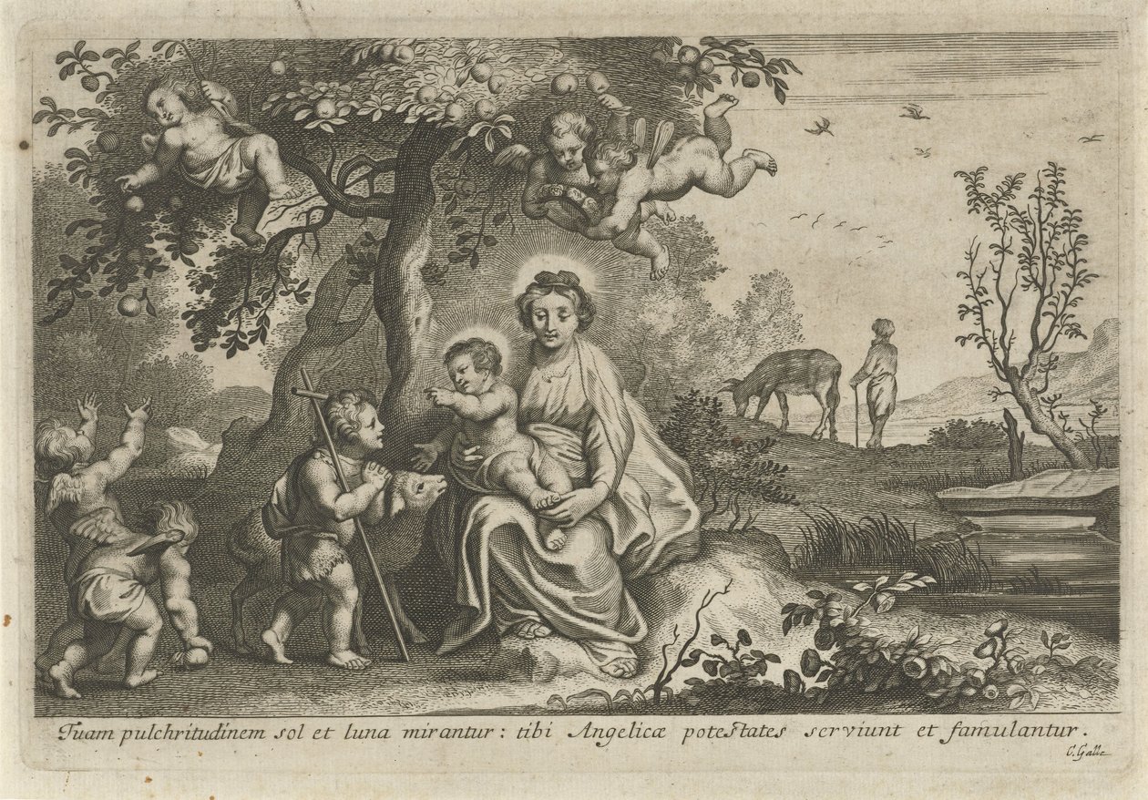 Maria com o Menino e João Batista de Cornelis Galle (II)