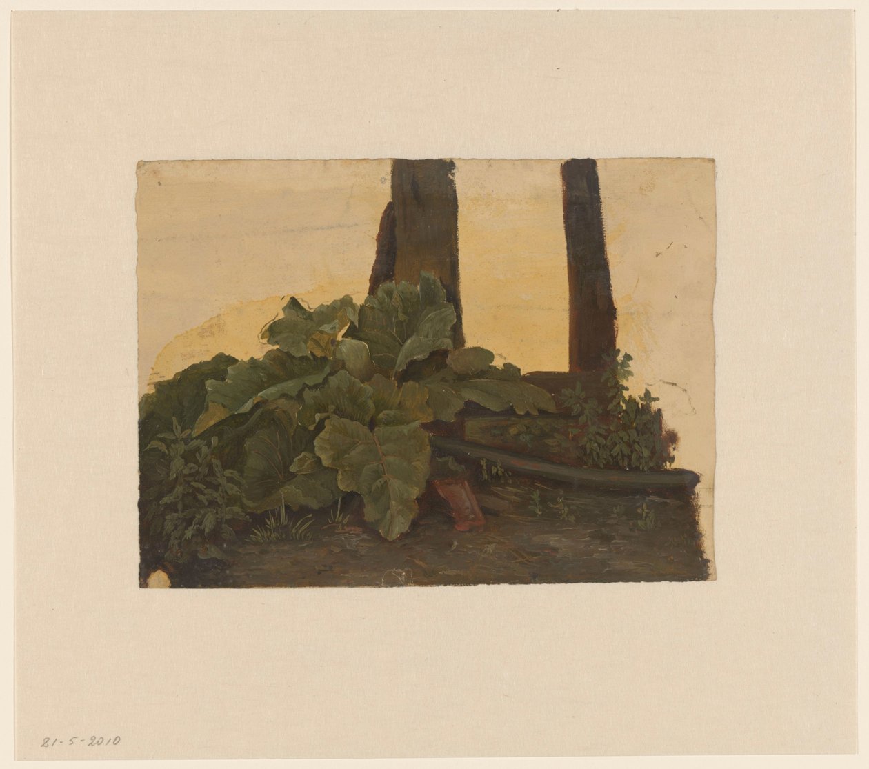 Plantas na base de um tronco de árvore de Cornelis Johannes de Vogel