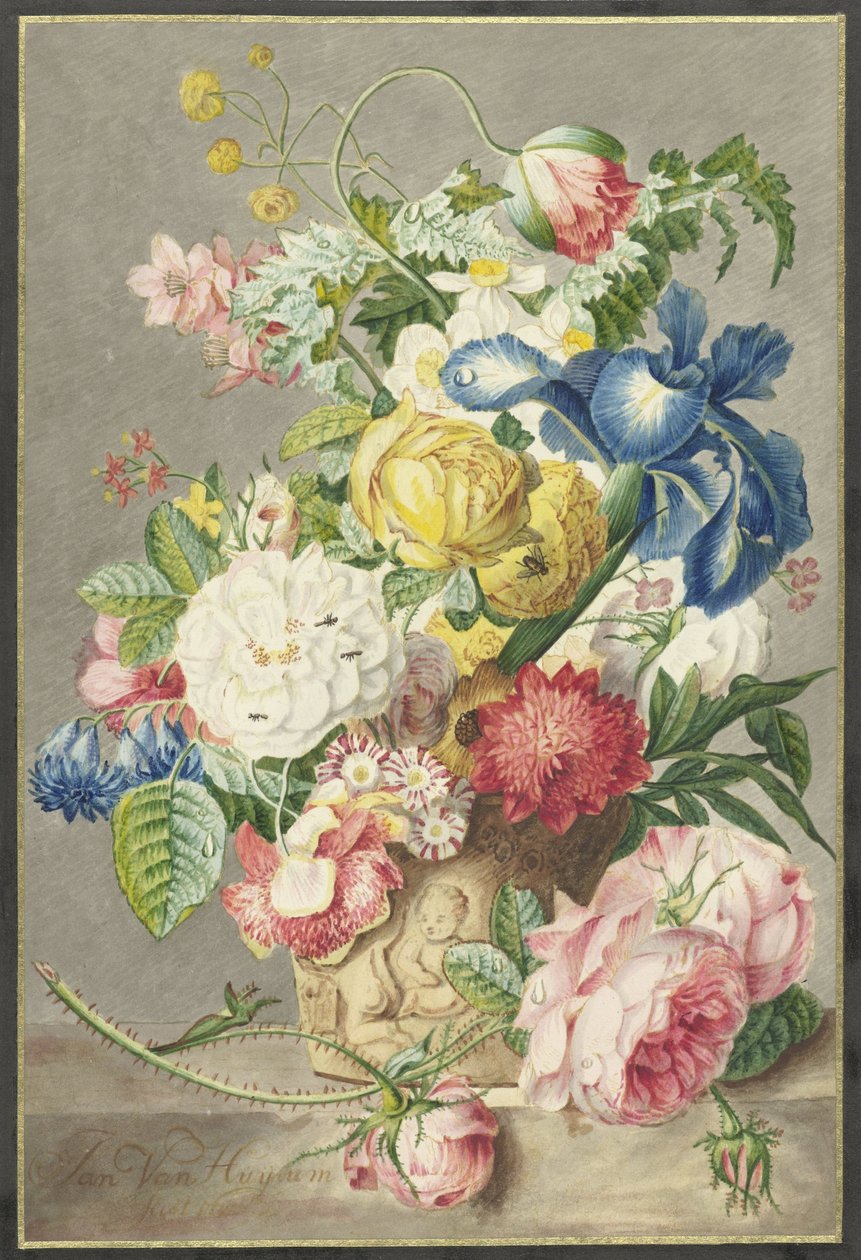 Bouquet de Cornelis Ploos van Amstel