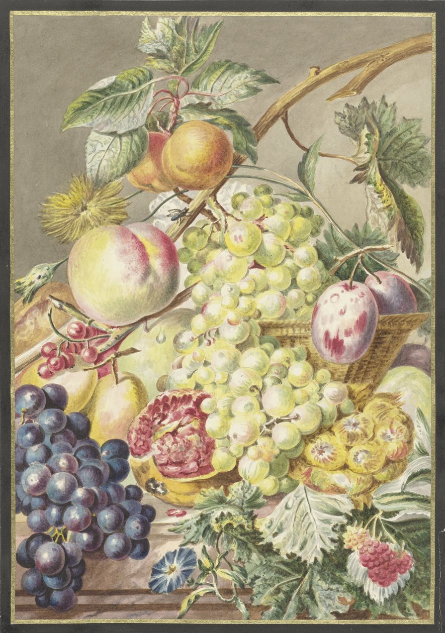 pedaço de fruta de Cornelis Ploos van Amstel
