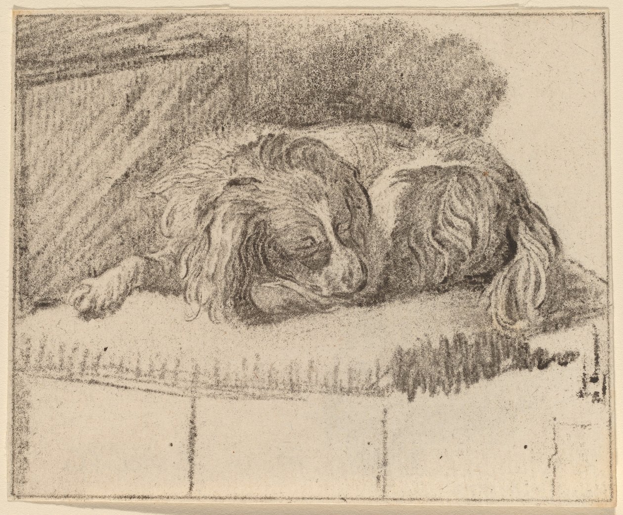 Cão Deitado de Cornelis Ploos van Amstel