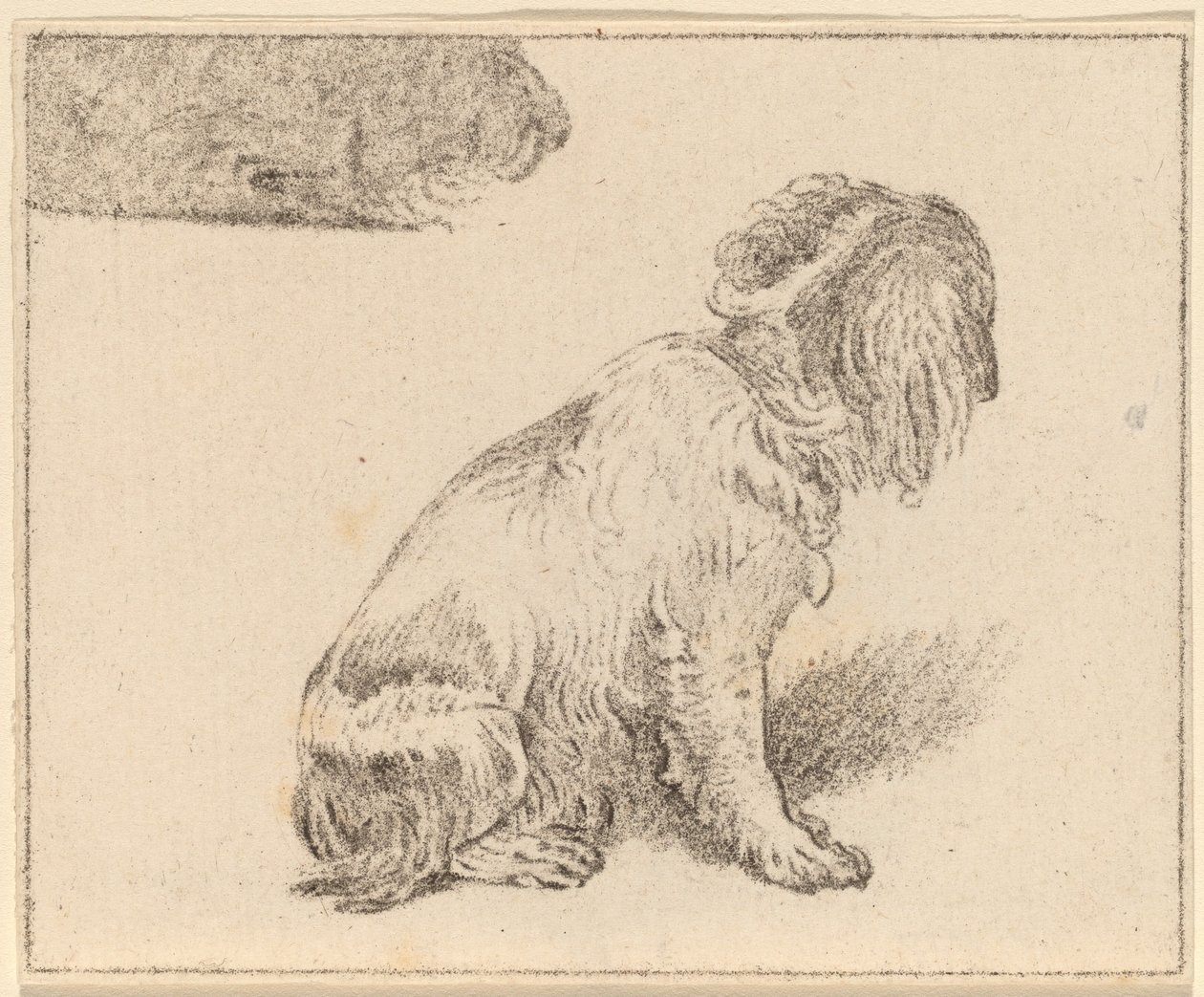 Cão Sentado de Cornelis Ploos van Amstel