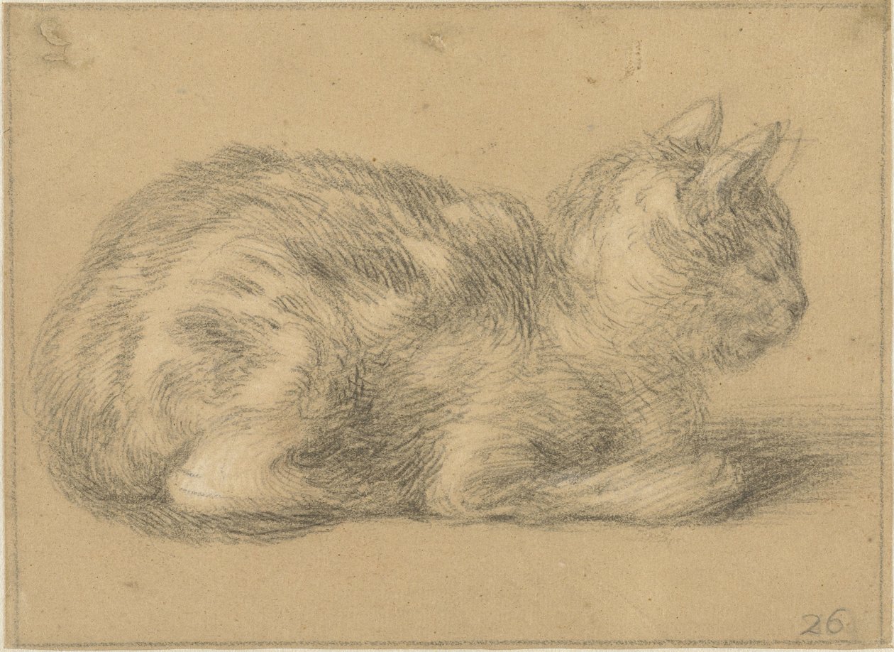 Gato sentado, à direita de Cornelis Saftleven (possibly)