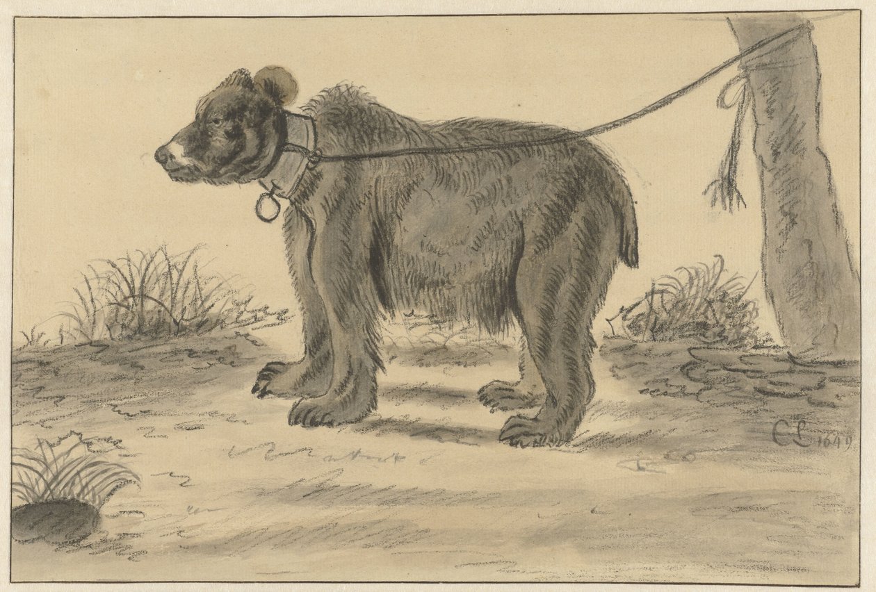 Urso amarrado a uma árvore de Cornelis Saftleven