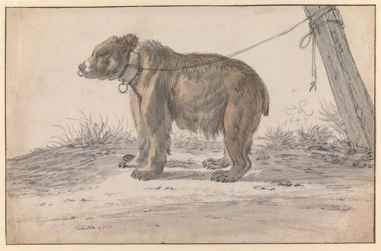 Um urso preso a uma corda de Cornelis Saftleven