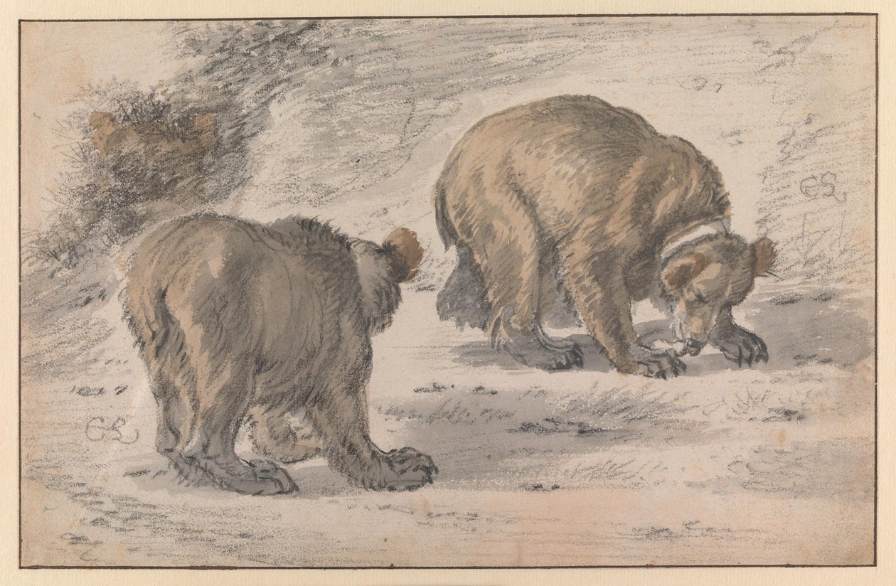Um urso em várias poses de Cornelis Saftleven