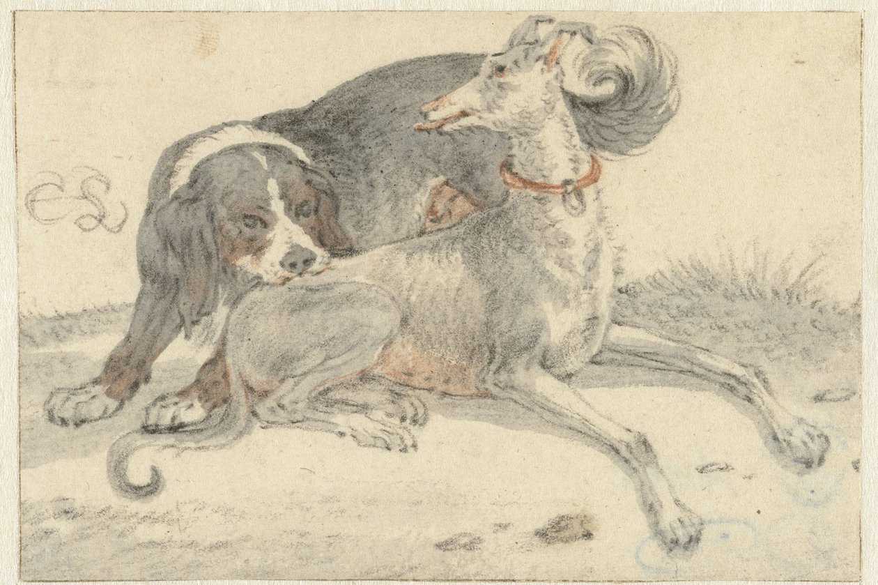 Galgo e um cão perdiz de Cornelis Saftleven