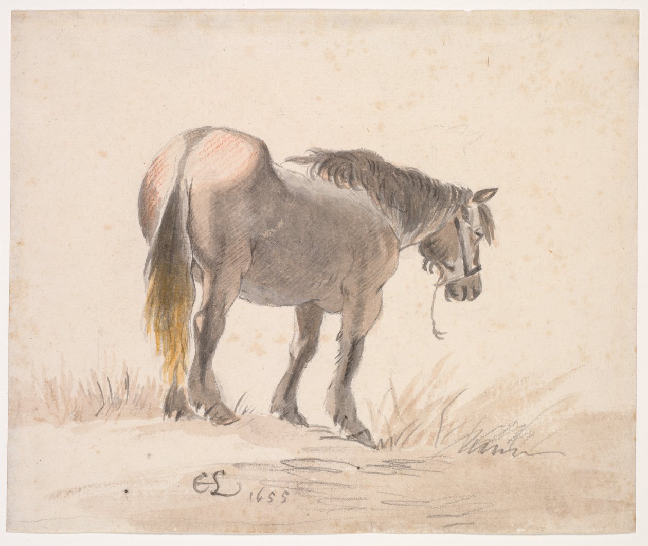 Cavalo de pé em um monte de Cornelis Saftleven