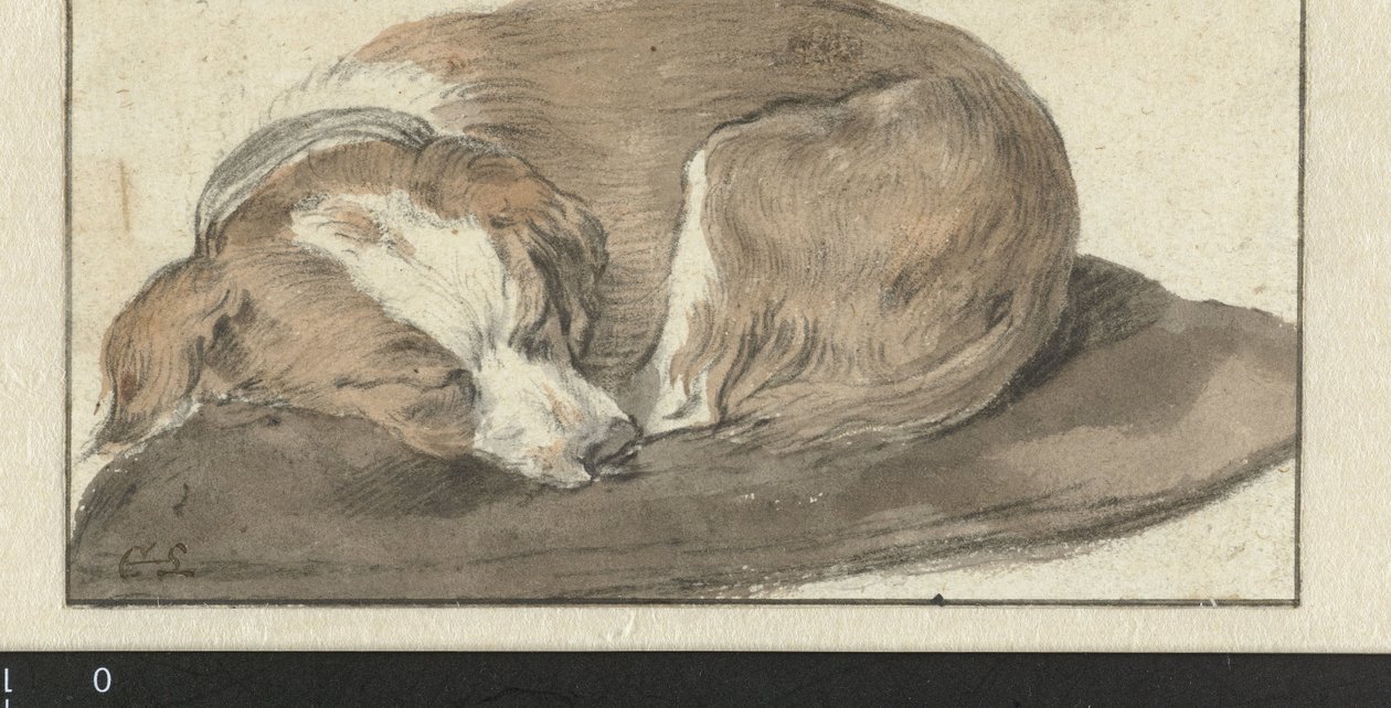 Cão Adormecido de Cornelis Saftleven