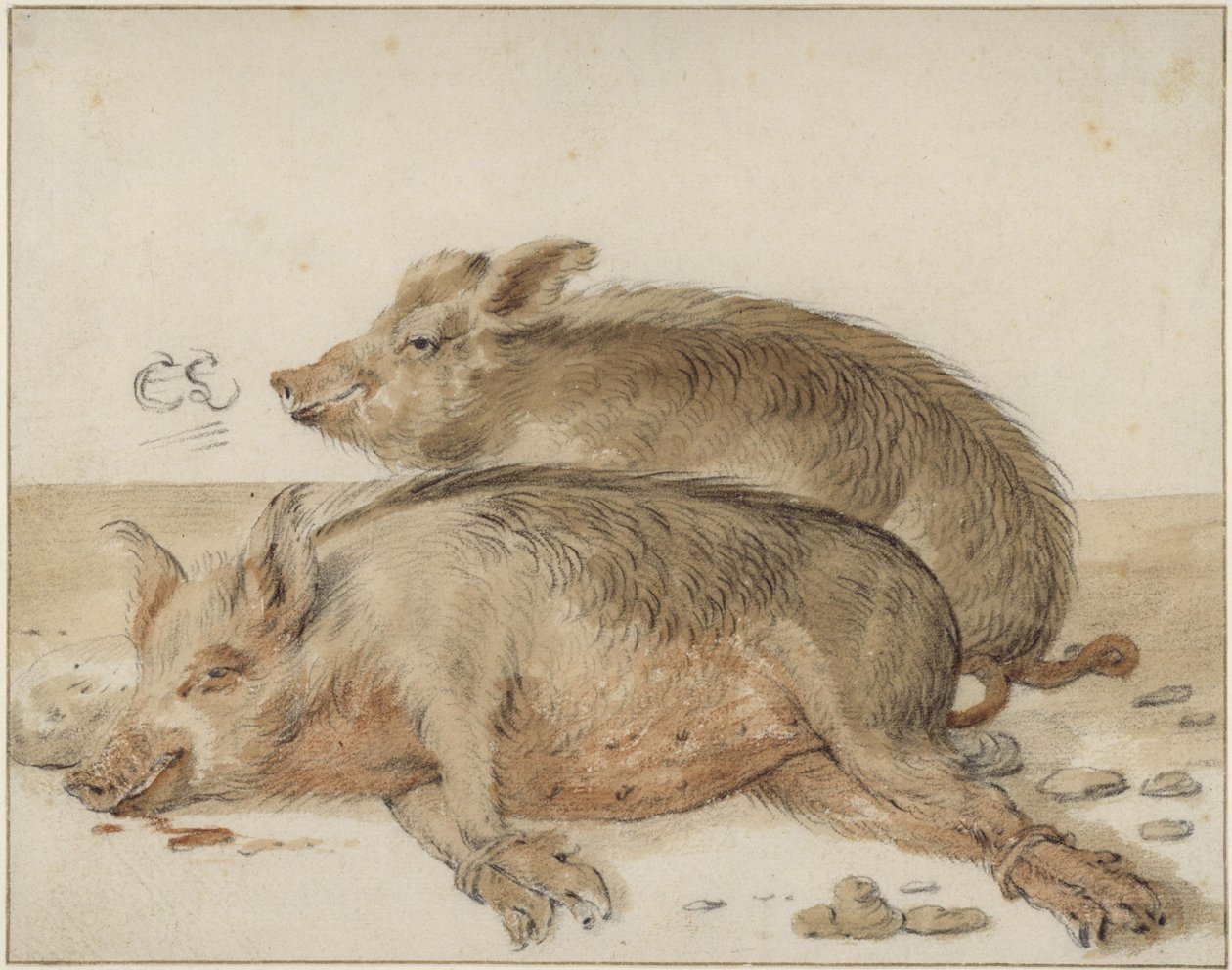 Dois porcos de Cornelis Saftleven
