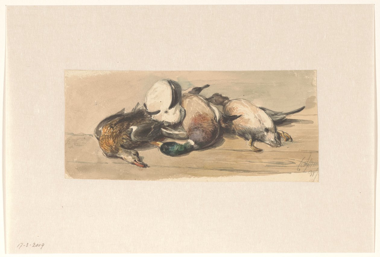 Natureza morta com quatro patos de Cornelis Springer