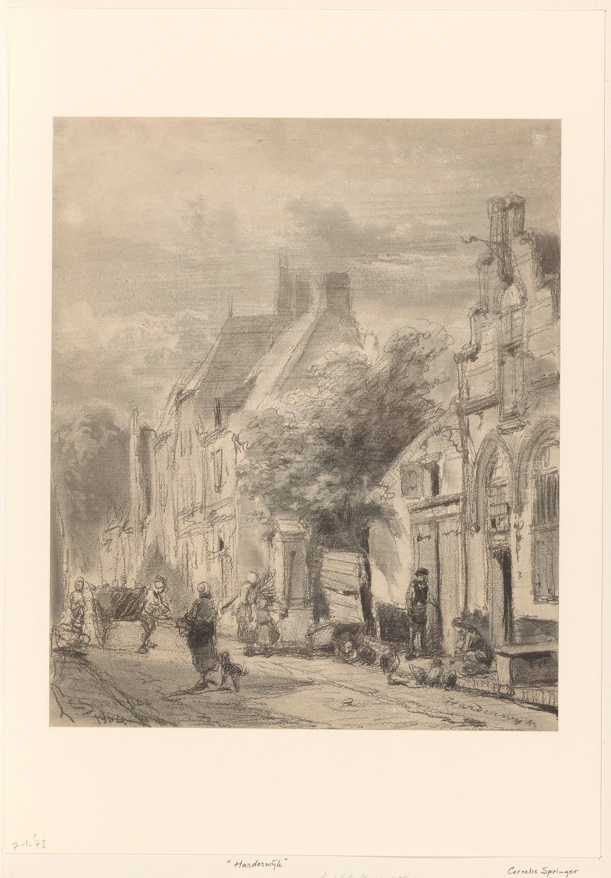 Vista de rua em Harderwijk de Cornelis Springer