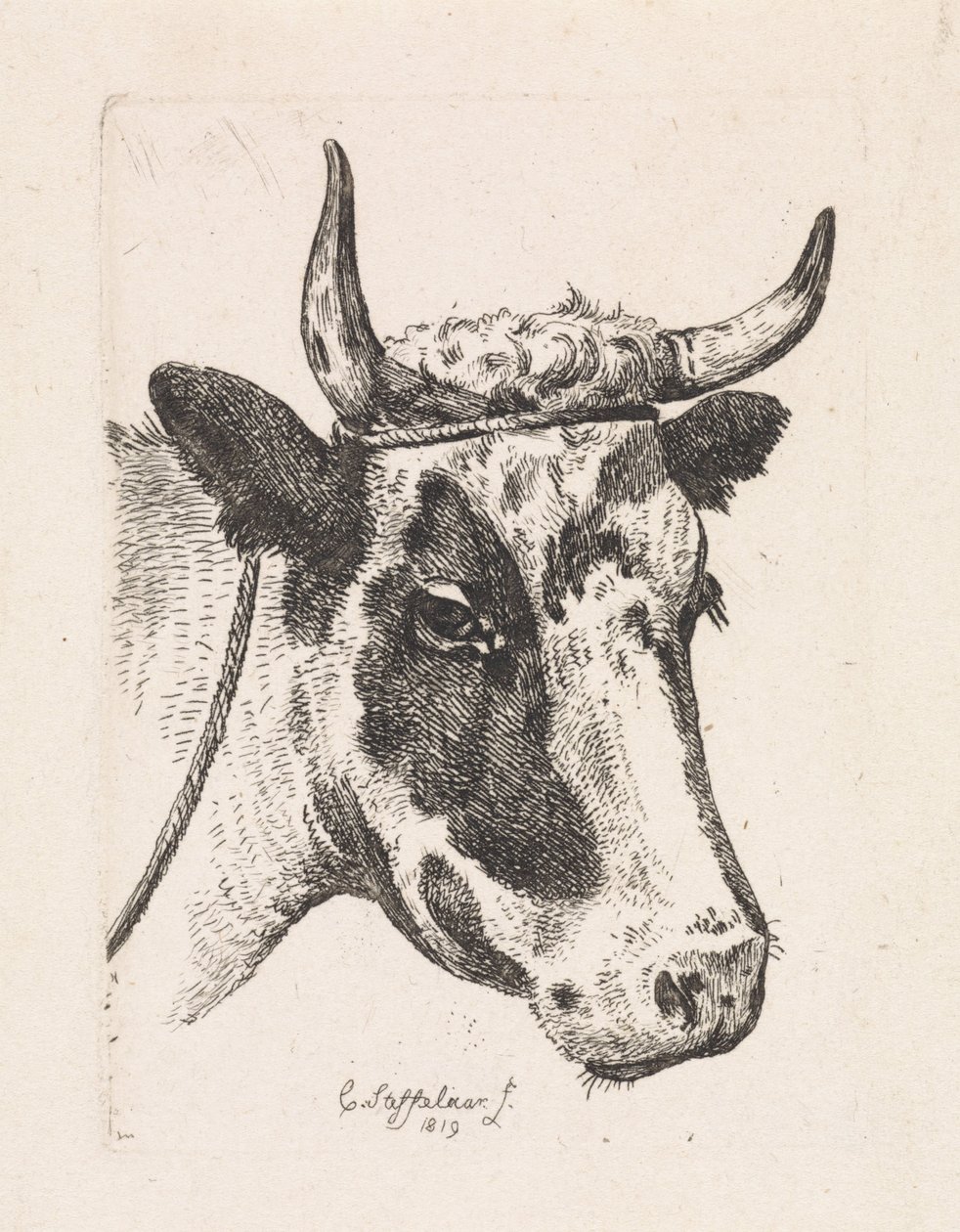 Cabeça de uma vaca malhada
Primeira suite (título da série) de Cornelis Steffelaar